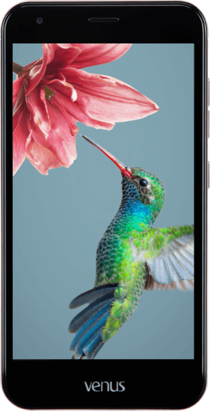 Vestel Venus V5