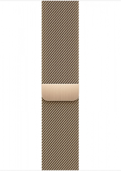 Apple Watch Series 9 Cellular 45mm Paslanmaz Çelik Kasa ve Milano Loop Akıllı Saat
