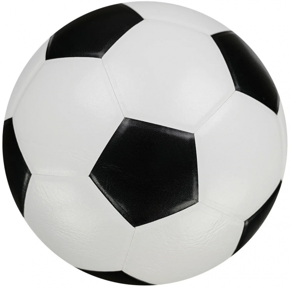 Mikasa SWL310 5 Numara Futbol Topu