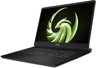 MSI Alpha 17 C7VG-036TR Laptop