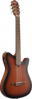 Ibanez FRH10N Elektro Akustik Gitar