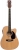 Strauss SA-220 Elektro Akustik Gitar