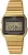 Casio A700WG-9A Kol Saati