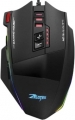 Zelotes C-13 resim