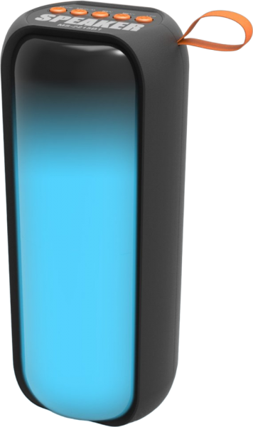 Newface MS-2215BT Bluetooth Hoparlör
