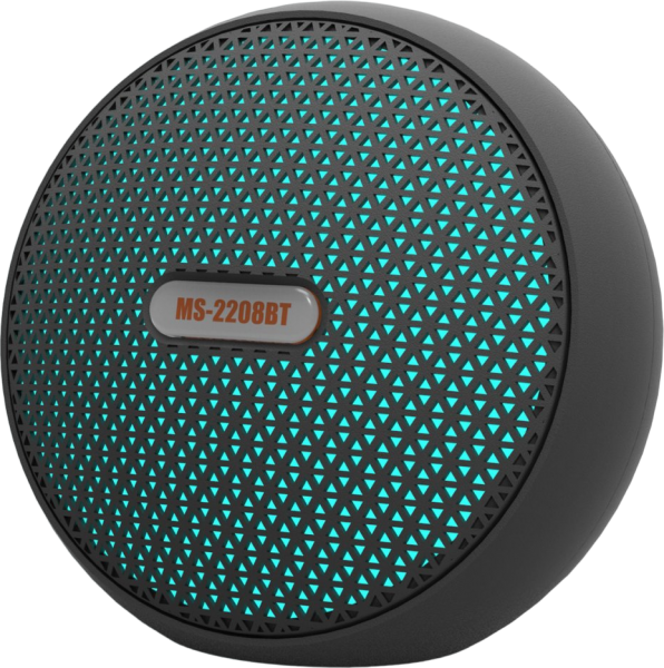 Newface MS-2208BT Bluetooth Hoparlör