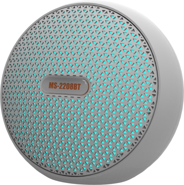 Newface MS-2208BT Bluetooth Hoparlör