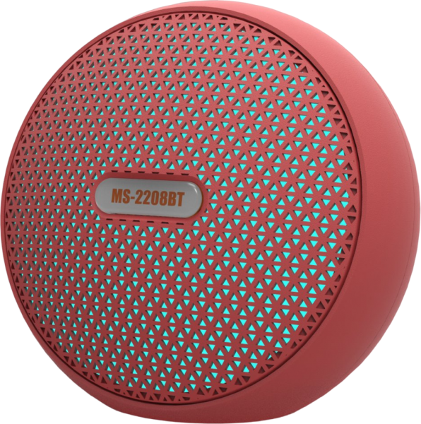 Newface MS-2208BT Bluetooth Hoparlör