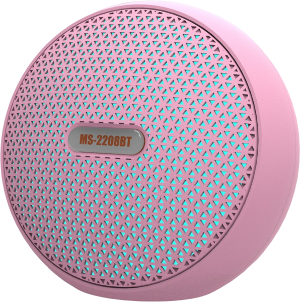 Newface MS-2208BT Bluetooth Hoparlör
