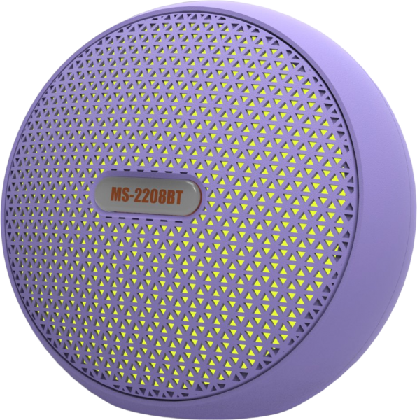 Newface MS-2208BT Bluetooth Hoparlör