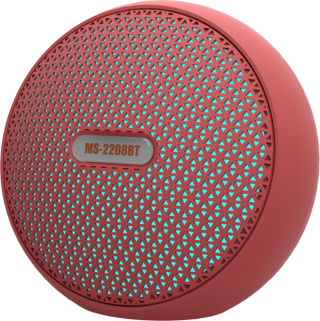 Newface MS-2208BT Bluetooth Hoparlör