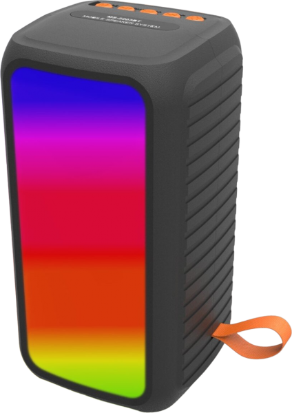 Newface MS-2203BT Bluetooth Hoparlör