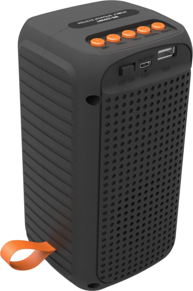 Newface MS-2203BT Bluetooth Hoparlör