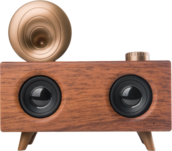Newface VK-B6 Bluetooth Hoparlör
