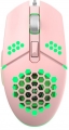 CBTX G25 resim