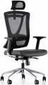 Goldsit Parox 000 CA resim