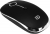 Fude I331D Mouse