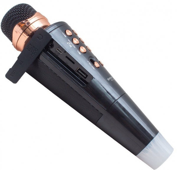 Everton RT704 Mikrofon