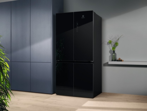 Electrolux ELT9VE52M0 Buzdolabı