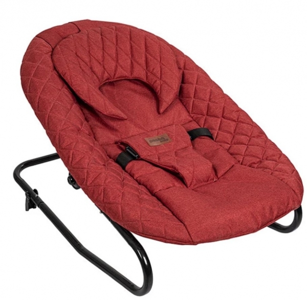 Pasha Baby Deluxe Ana Kucağı
