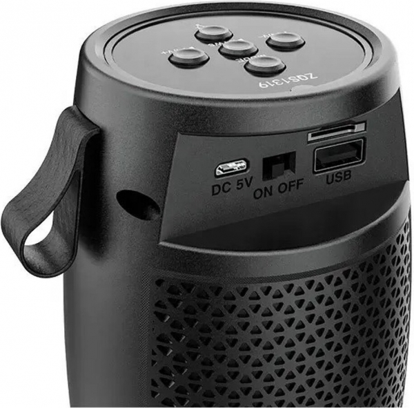 Polygold ZQS1201 Bluetooth Hoparlör