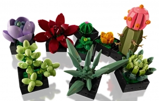 LEGO Creator 10309 Succulents
