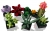 LEGO Creator 10309 Succulents