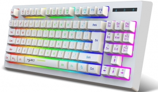 Hxsj L100 Klavye