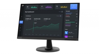 Lenovo C24-40 Monitör