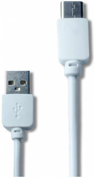 Factor M FM-101T Şarj Aleti (USB Type-C)