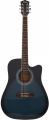 Washburn WA90C resim