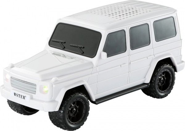 Torima WS-591 Bluetooth Hoparlör