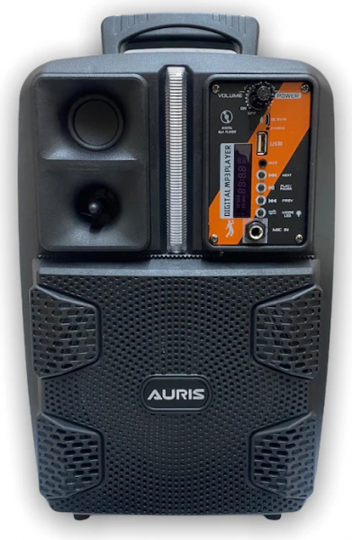 Auris ARS-K21 Müzik Sistemi