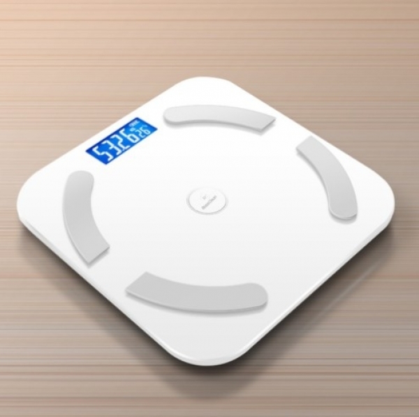 RossClean Smart Life Dijital Banyo Tartısı
