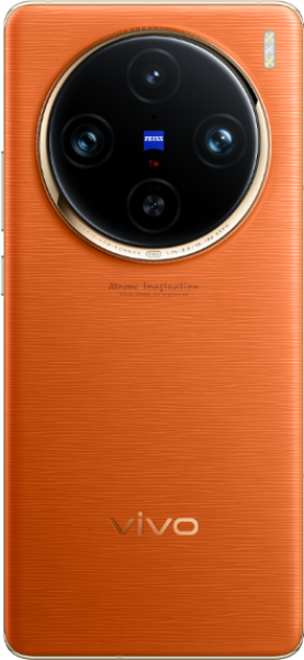 Vivo X100 Pro