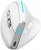 Zelotes F-36 Mouse