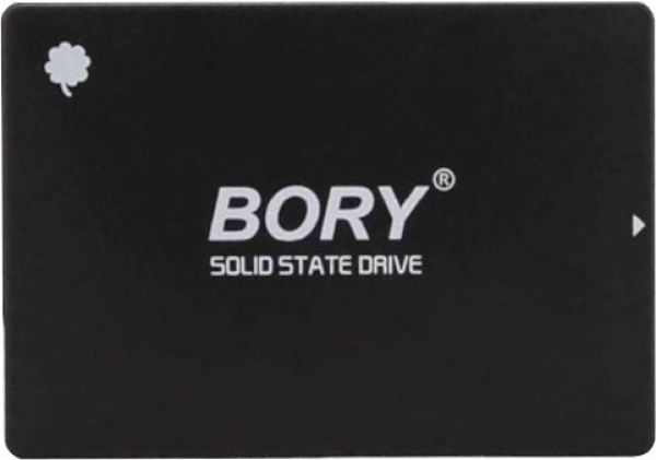 Bory R500 SSD (1 TB)