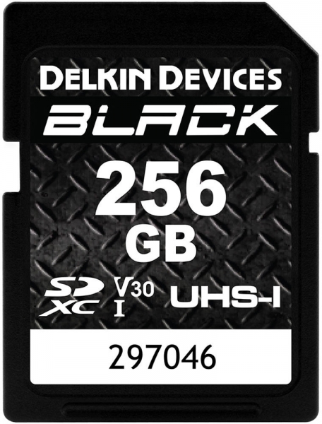 Delkin Devices Black UHS-I V30 SD (256 GB)
