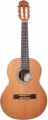 Rodriguez RC534 resim