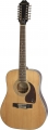 Epiphone Songmaker DR-212 resim