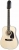 Epiphone Songmaker DR-212 Akustik Gitar