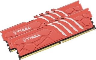 Thull Vortex 32 GB 6400 MT