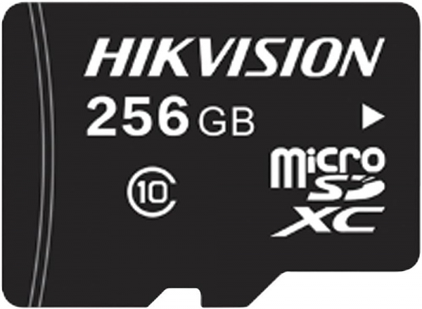 Hikvision HS-TF-L2/256G microSD (256 GB)
