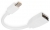 Digitus Mini DisplayPort To DisplayPort Dönüştürücü