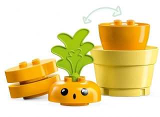 LEGO Duplo 10981 Growing Carrot