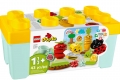 LEGO Duplo 10984 Organic Garden resim