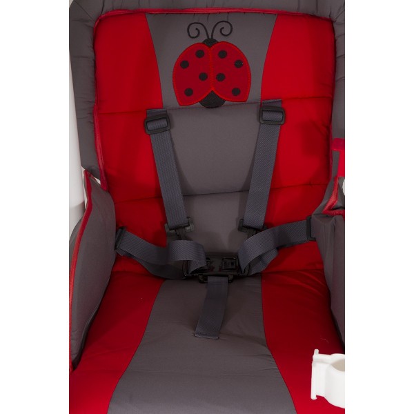 Pasha Baby M34 Leon Salıncak Ana Kucağı