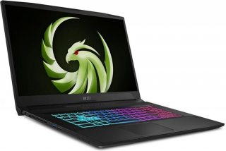 MSI Bravo 17 D7VF-069XTR Laptop