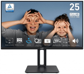 MSI Pro MP251P Monitör
