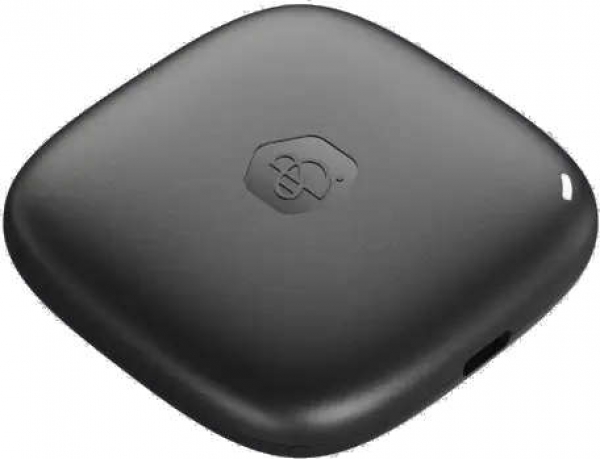 Synology BeeDrive SSD (1 TB)